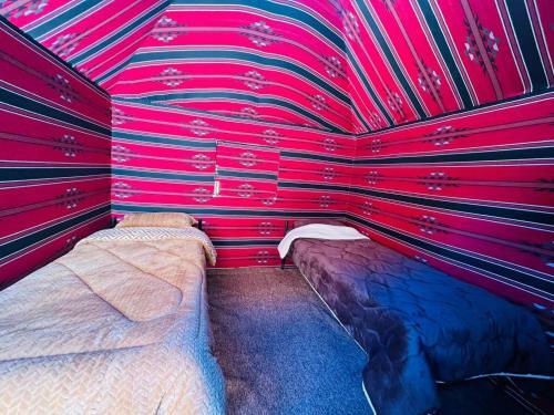Bedouin Host Camp& With Tour