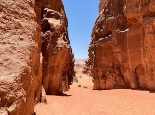 Bedouin Host Camp& With Tour