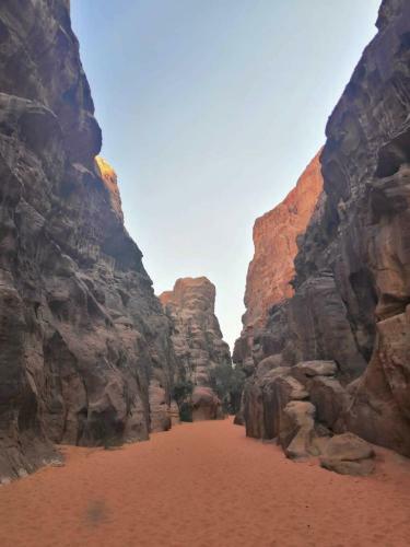 Wadi Rum Echo Camp
