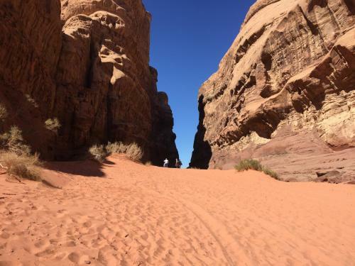 Wadi Rum Nature Guide