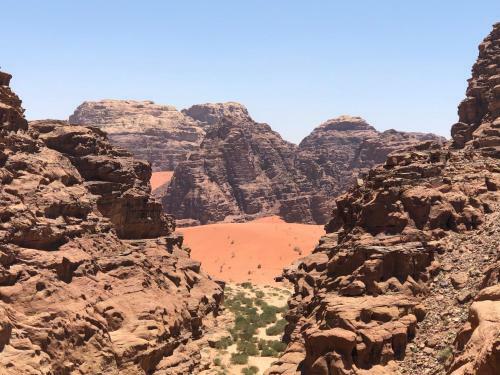 Wadi Rum Nature Guide