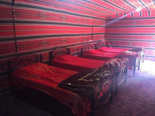 Desert Mars Camp & Tours
