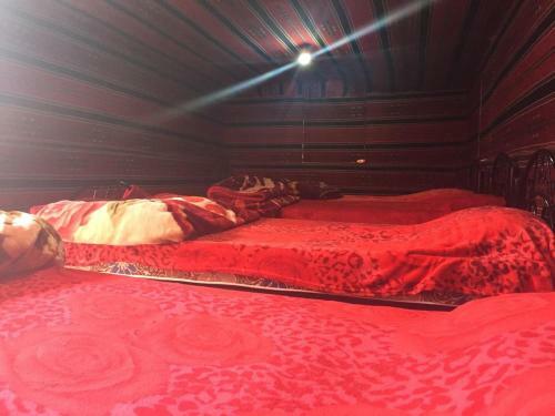 Desert Mars Camp & Tours