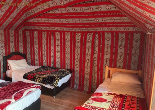 Desert Mars Camp & Tours