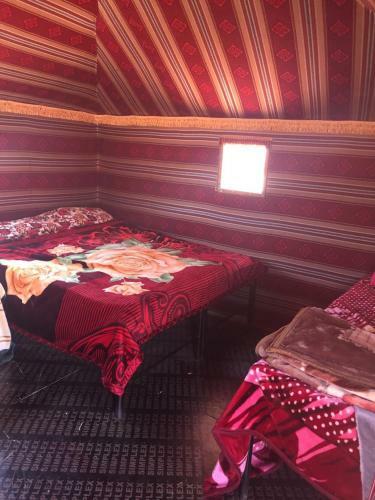 Desert Mars Camp & Tours
