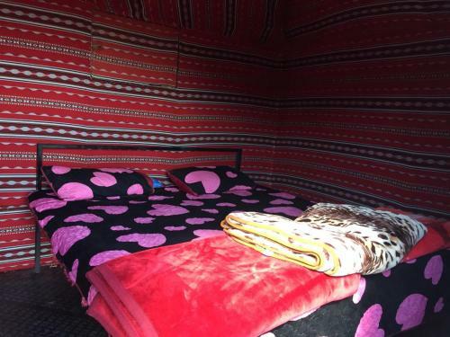 Desert Mars Camp & Tours