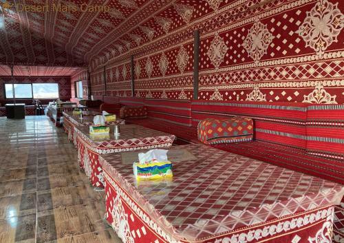 Desert Mars Camp & Tours