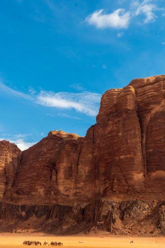 Desert Mars Camp & Tours
