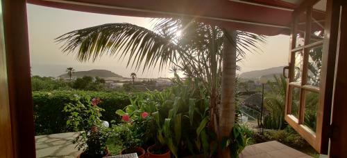 Apartamento Casas Ricardo