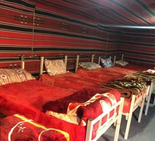 Wadi Rum Local Camp