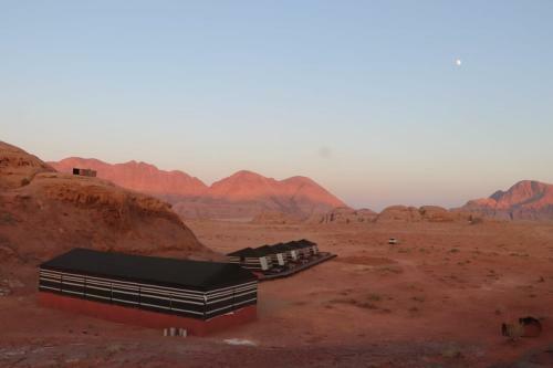 Discover The Life Of Wadi Rum