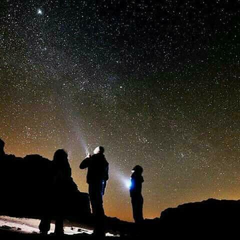 Wadi Rum Desert Adventures