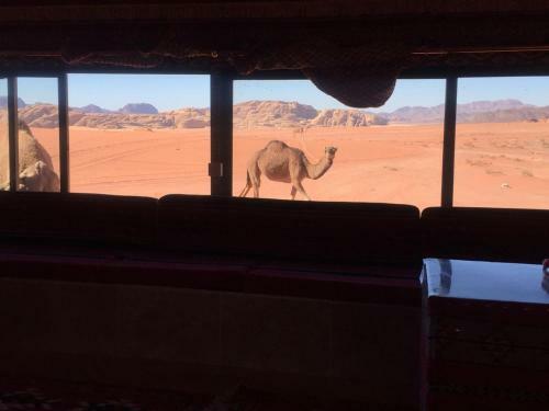 Wadi Rum Desert Adventures