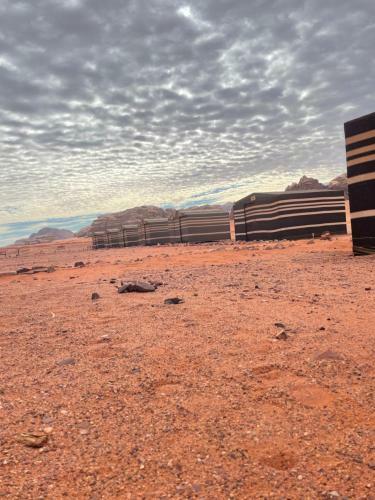 Sand And Stone Camp - Wadi Rum Desert