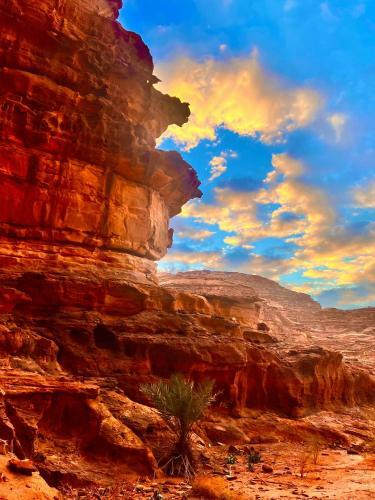 Wadi Rum Dune Rocks Camp