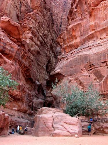 Wadi Rum Ecco