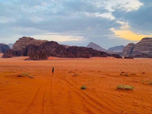 Quiet Nights Desert