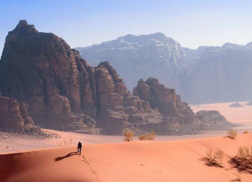 Quiet Nights Desert
