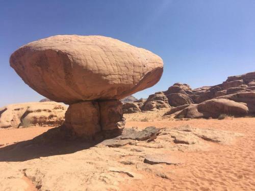 Wadi Rum Dew