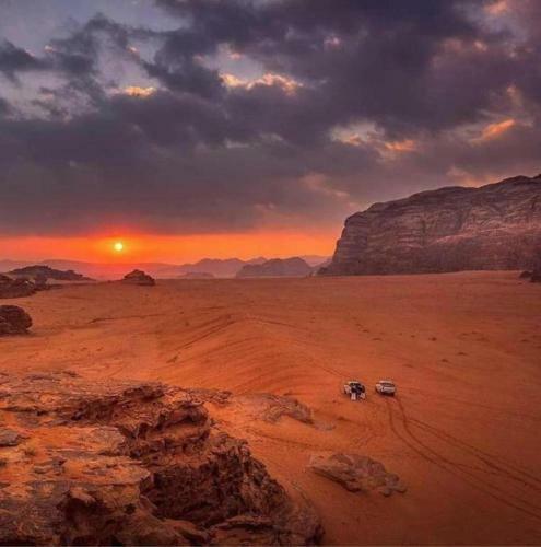 Wadi Rum Dew