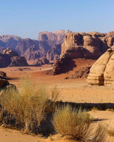 Wadi Rum Dew