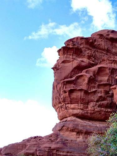 Wadi Rum Silk Road Camp