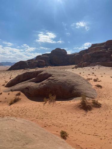 Wadi Rum Silk Road Camp