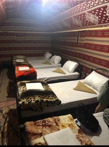 Desert Bedouin Camp