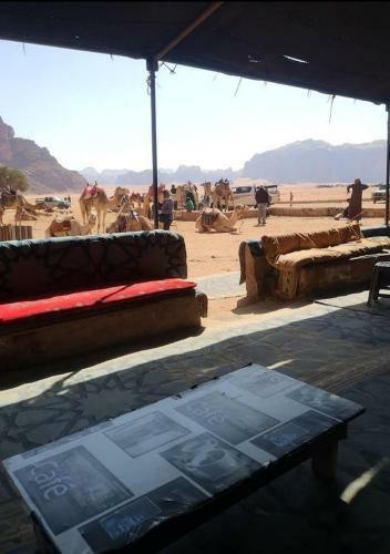 Desert Stars Camp Wadi Rum