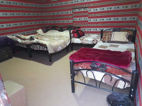 Wadi Rum Desert Experience