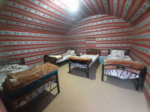 Wadi Rum Desert Experience