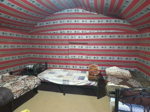 Wadi Rum Desert Experience