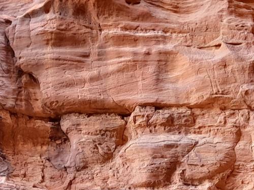 Wadi Rum Desert Experience