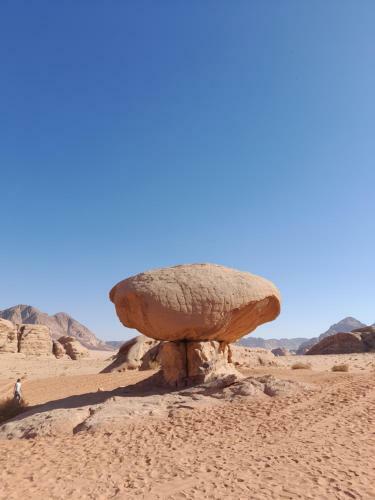 Wadi Rum Desert Experience