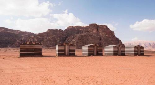 Bedouin Moon Camp&tour