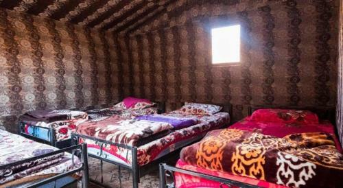 Bedouin Moon Camp&tour