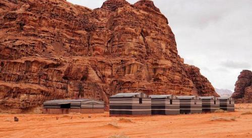 Bedouin Moon Camp&tour