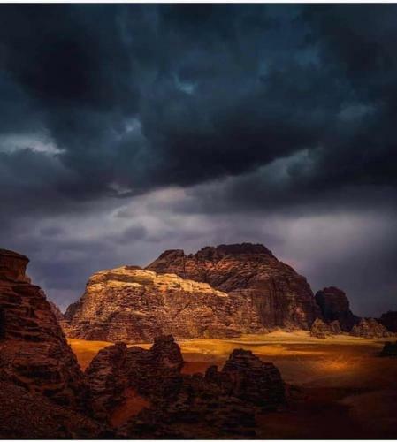 Bedouin Moon Camp&tour