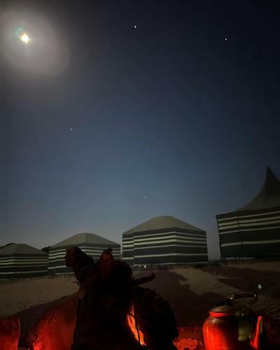 Bedouin Moon Camp&tour