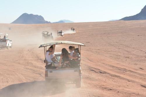 Art Camp Wadi Rum