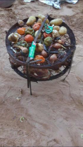 Wadi Rum Alternative Camp