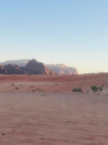Wadi Rum White Mountain Camp