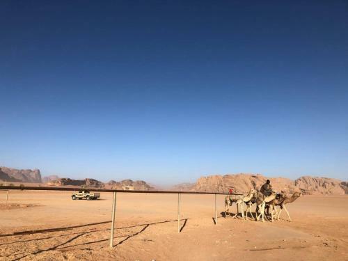Ahlam Alenzy Camp