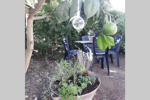 A Sweet Apartment In Hula Valley
