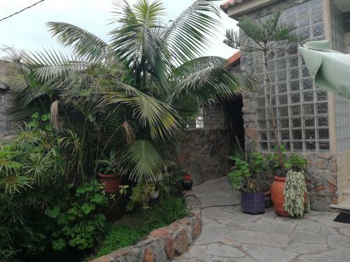 Casa El Drago