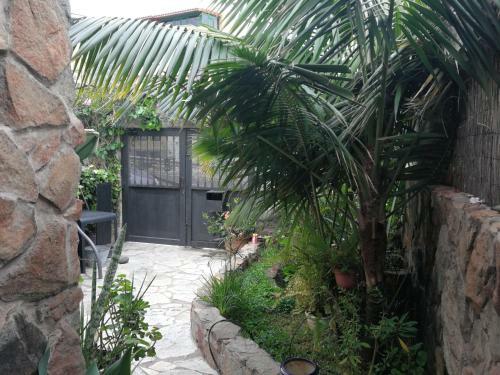 Casa El Drago