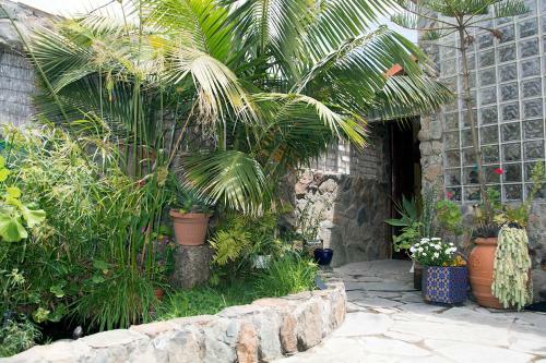 Casa El Drago