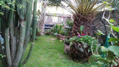 Casa El Drago