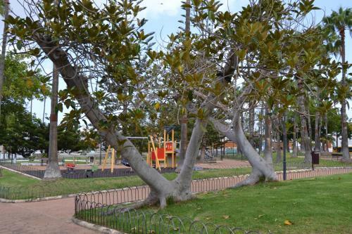 Blue Lpa Apartment