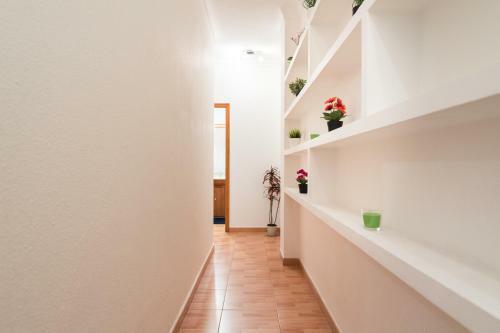 Apartamento Vivienda Miguel Rosas